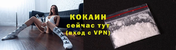 МДПВ Абаза