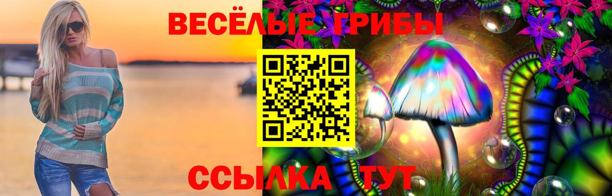 Тобольск  Псилоцибиновые грибы Psilocybe  Вход с VPN 